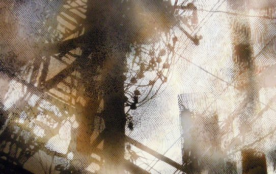 市場勇太　作品展