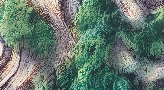 市場勇太 作品展