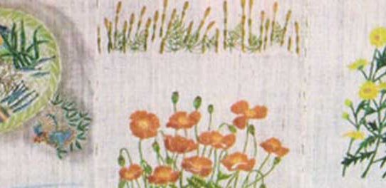 「さくら染めの会 作品展 20年の歩み」