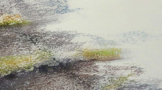 第8回 日本美術展覧会　「日展」