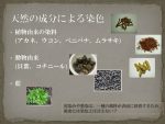 天然の成分による染色 – 天然染料
