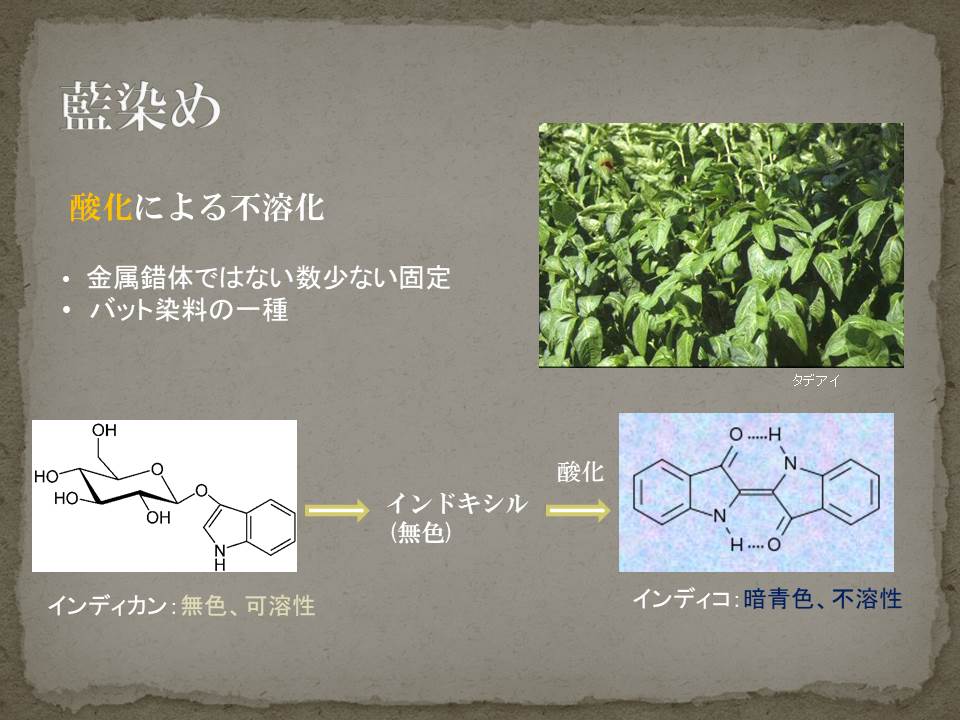 藍染め -例外的な草木染 | 市場染色工房